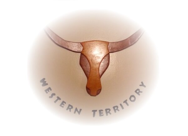 Varžybos Western Territory 2019